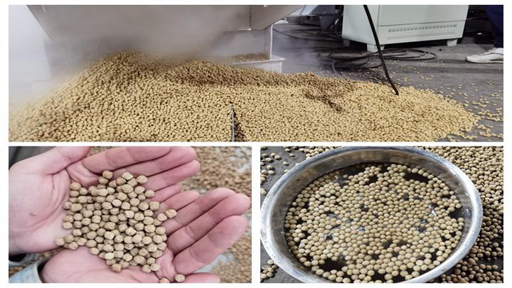 <h3>Aquaculture fish feed pellet machine Manufacturers</h3>
